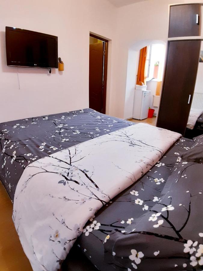 Studio La Stefy Apartment Sibiu Exterior photo
